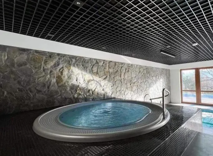 Podgrzewany Basen, Sauna, Nowy Revist Szklarska B7