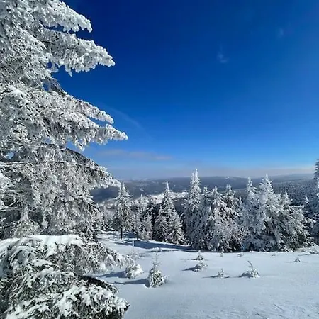 Podgrzewany Basen, Sauna, Nowy Revist Szklarska B7 *